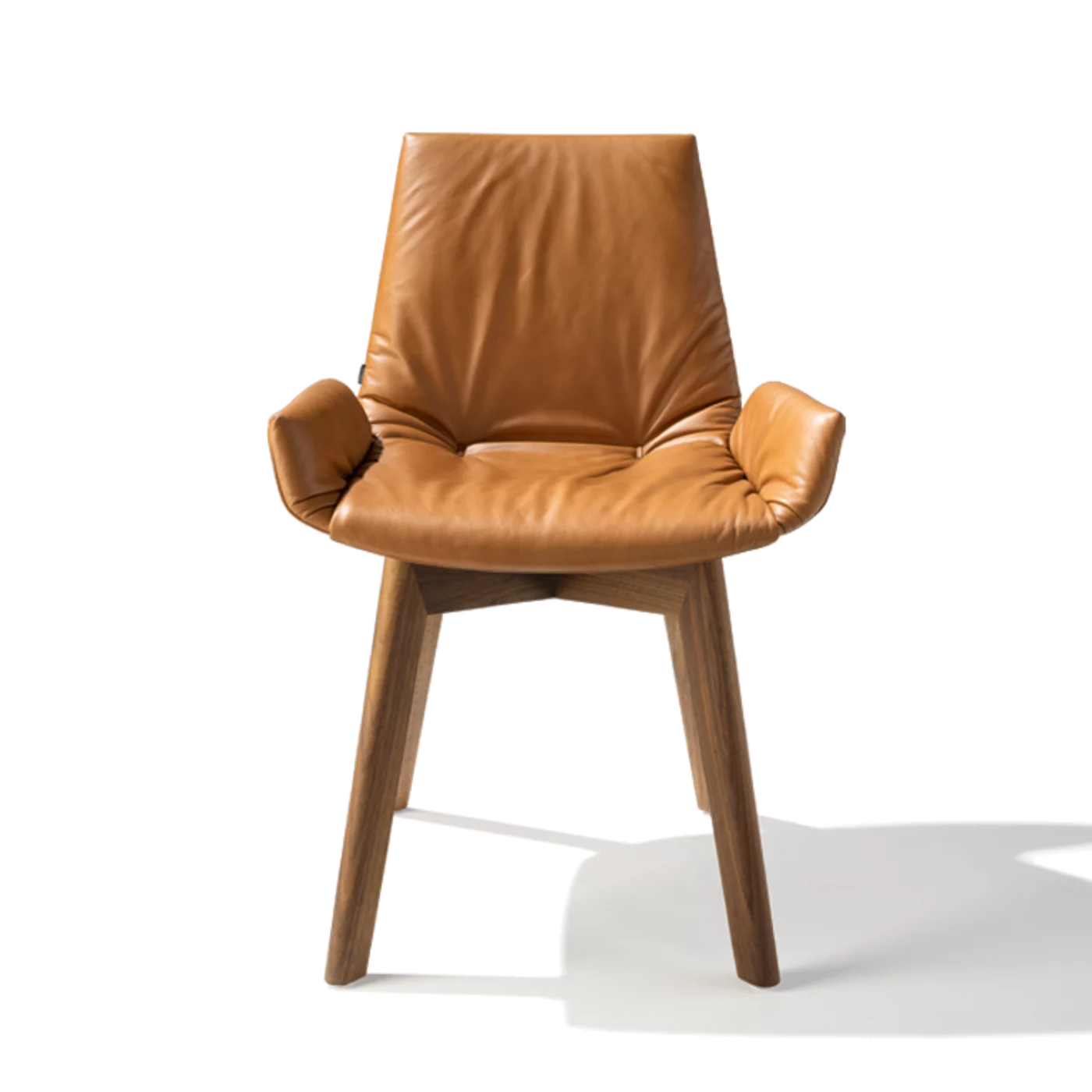 dining chair with wooden frame in walnut, front view dining room chair lui plus with wooden frame in walnut, front view