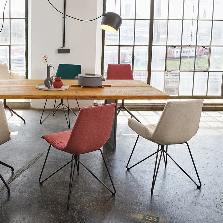 Massivholztisch in Eiche urig gebürstet mit komfortablen Stühlen echt.zeit Esstisch massiv in Eiche urig gebürstet mit der lui Stuhlfamilie