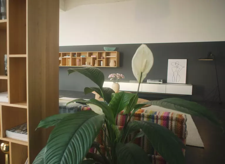 shelfs | oak white oil | TEAM 7